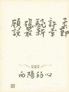 顾砚骁许柔汐小说最新章节更新时间