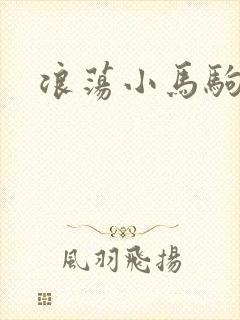 浪荡小马驹封面