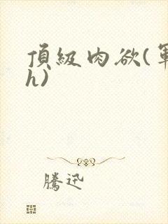 顶级肉欲(军高h)