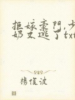 拒嫁豪门,少奶奶又逃了txt.小说免费阅读