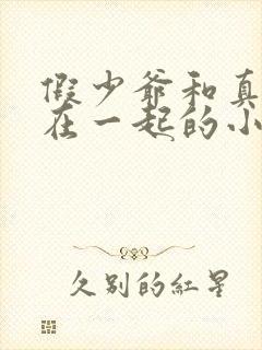 假少爷和真少爷在一起的小说