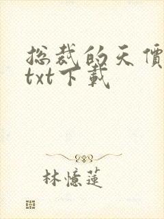 总裁的天价前妻txt下载