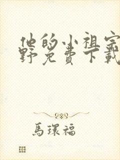 他的小祖宗甜又野免费下载封面