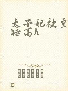 太子妃被皇上强睡高h封面
