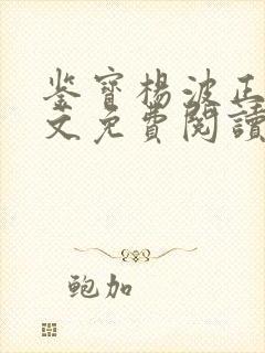 鉴宝杨波正版全文免费阅读