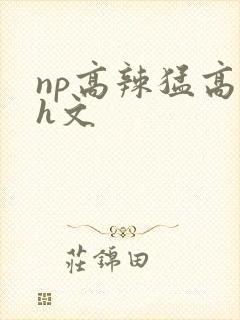 np高辣猛高辣h文封面
