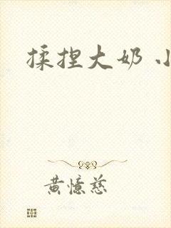 揉捏大奶 小说