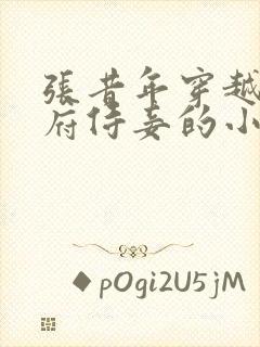 张昔年穿越成王府侍妾的小说