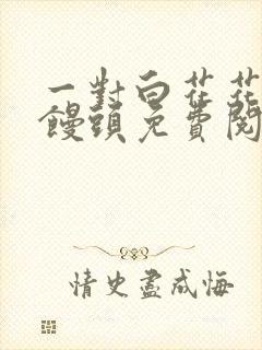 一对白花花的大馒头免费阅读