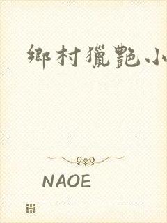 乡村猎艳小说
