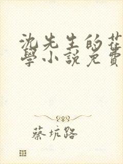 沈先生的花式教学小说免费