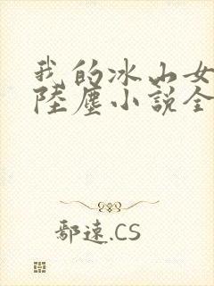 我的冰山女总裁陆尘小说全文阅读