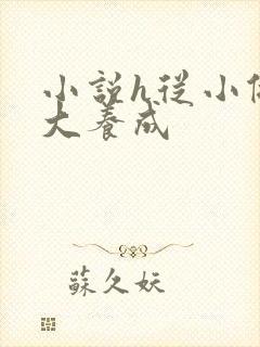小说h从小做到大养成封面