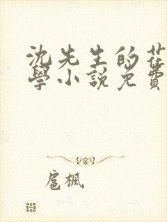 沈先生的花式教学小说免费
