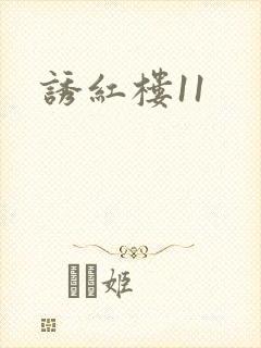 诱红楼11