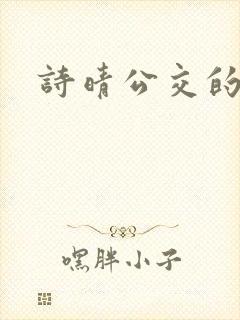 诗晴公交的小说封面