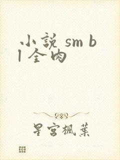 小说 sm bl 全肉封面
