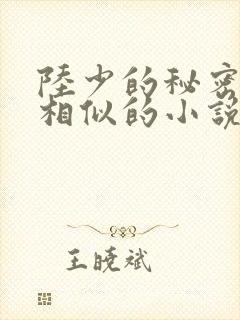陆少的秘密恋人相似的小说