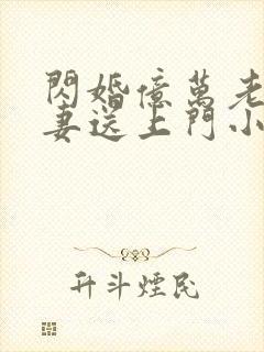 闪婚亿万老公娇妻送上门小说下载