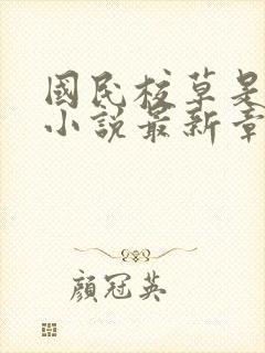 国民校草是女生小说最新章节阅读