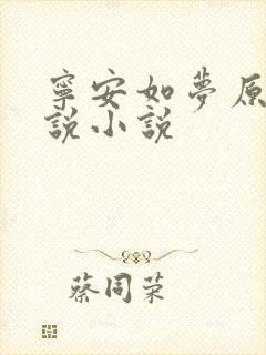 宁安如梦原著小说小说