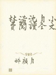 林浩沈月小说免费阅读全文