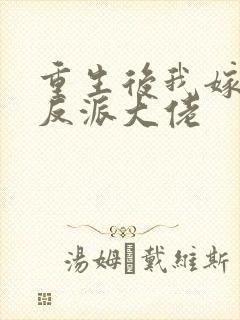 重生后我嫁给了反派大佬