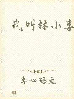 我叫林小喜17
