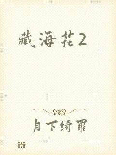 藏海花2