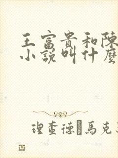 王富贵和陈芸的小说叫什么