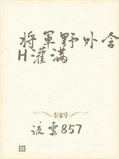 将军野外含公主H灌满