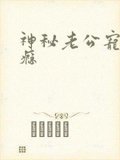 神秘老公宠妻上瘾封面