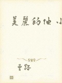 美丽的他 小说