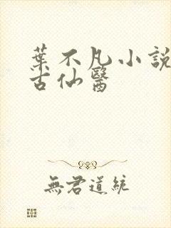 叶不凡小说都市古仙医