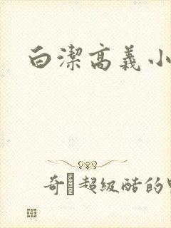 白洁高义小说