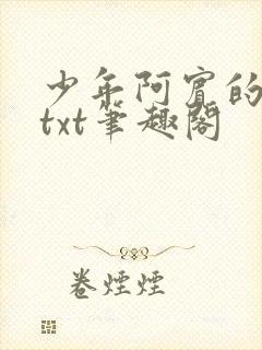 少年阿宾的小说txt笔趣阁