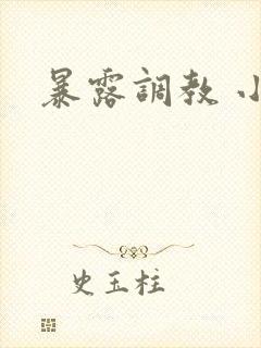 暴露调教 小说