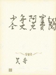 少年阿宾txt全文免费阅读小说