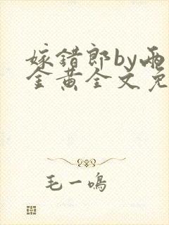 嫁错郎by两面金黄全文免费阅读笔趣阁