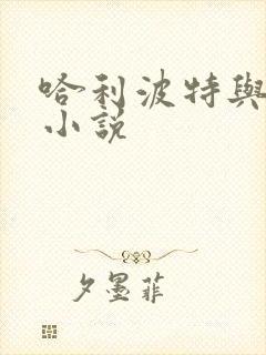 哈利波特与密室小说