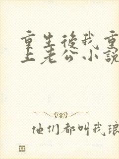 重生后我重新追上老公小说阅读全文封面