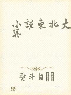 小说东北大炕全集