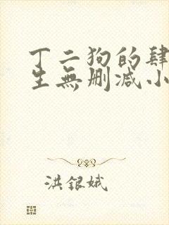 丁二狗的肆意人生无删减小说免费封面