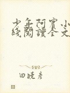 少年阿宾小说在线阅读全文无删减