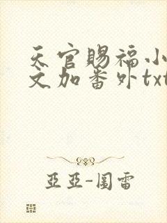 天官赐福小说全文加番外txt