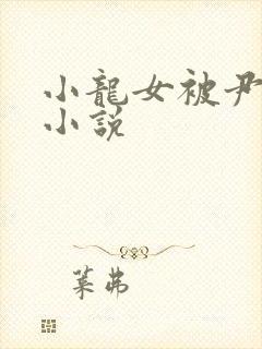 小龙女被尹志平小说封面