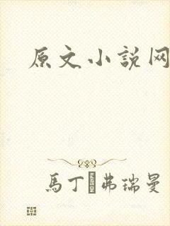 原文小说网