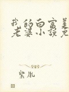 我的白富美总裁老婆小说免费阅读封面