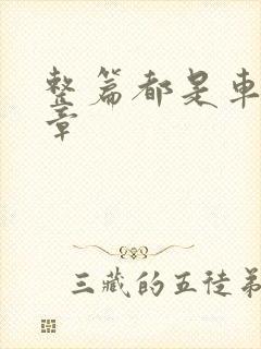 整篇都是车的文章