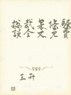 总裁是条骚狗小说全文免费阅读